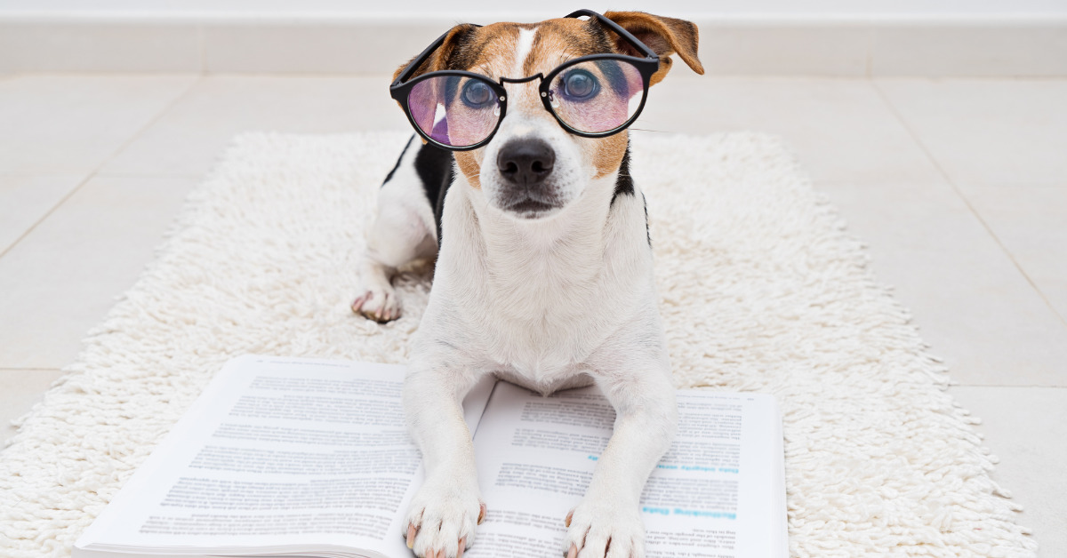 God wearing glasses reading - GCSE Exam Steps to Follow