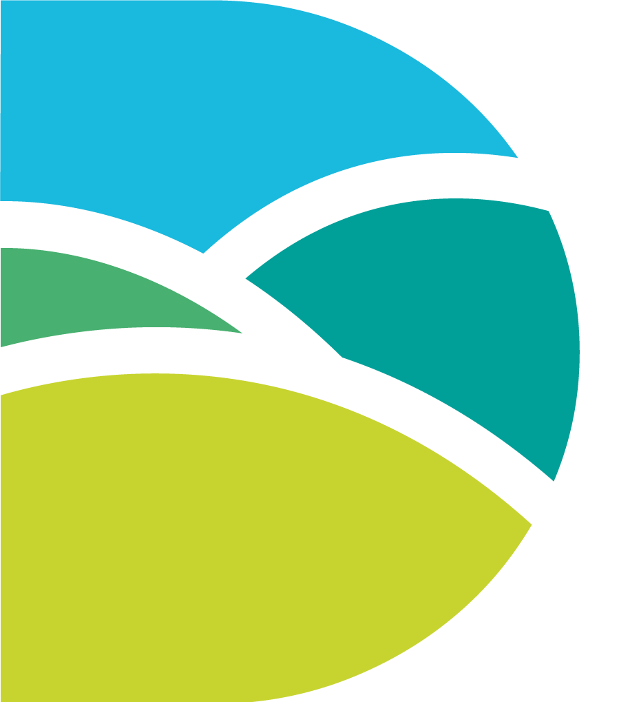 Dorset council logo COLOUR PNG e1675787507359